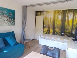Studio lumineux pour 4 pers. au pied des pistes, balcon sud, animaux admis - FR-1-181-2841 - 9