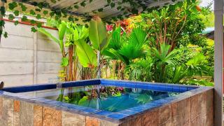 Villas Cozy Sloth - Puerto Viejo - 9