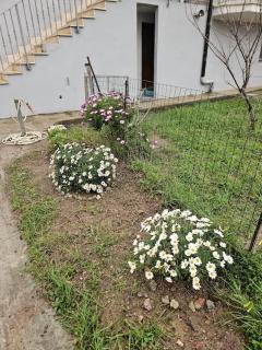 Casa Cavour - San Giovanni Suèrgiu - 0