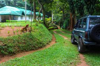 HEYCOCK CEYLON HlLL - Gampola - 4