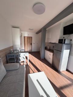 Apartament w Dolinie Sanu Lesko - Lesko - 0