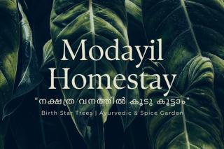 Modayil House - Anakkara - Vandanmedu - 1