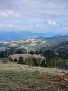 Borovi 3 - Zagrljaj prirode - Divčibare - 4