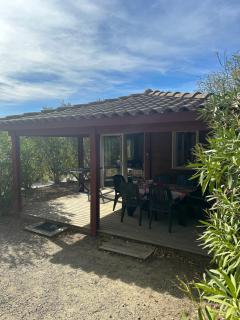 Le chalet fleuri aux 4 saisons - Cazilhac - 7