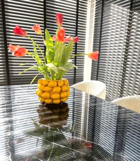 Modern Luxurious Apartment 90 m2 - Doetinchem - 9