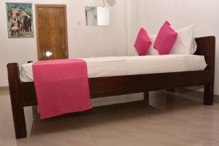 Sigiri Elephant View Guest - 4