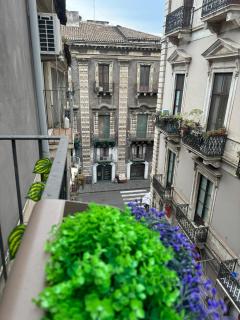 Duomo View Apartment - Catania - 6