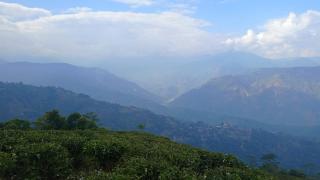 Backpackers Hostel - Darjeeling - 2