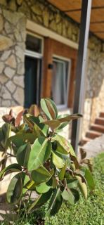 La Casetta - Trevignano Romano - 9