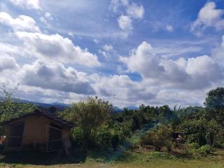 Mandagadde homestay - 3