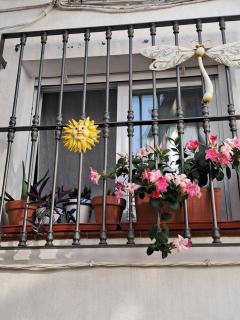 Pequeña Gran casa - Almuñécar - 8
