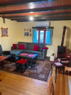 Brvnara Zlatiborka - Zlatibor - 8