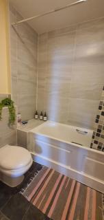 Double room&Private bath near the Square Mile - London - 1