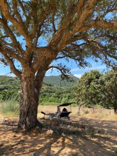 Maison cantonnière - 2