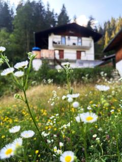 Haus Gratz - Bach - 6
