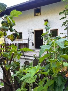 Haus Gratz - Bach - 5
