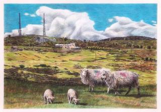 Blue bells Small but quirky & Cozy Shepherd's Hut - 1