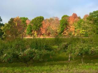 Unique Fully Restored Landmark Barn in Hudson - Claverack - 4