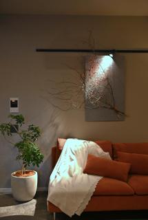 子供と遊ぶスイートルーム - 3