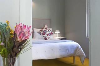 Two Penguins - Cape Town - 8