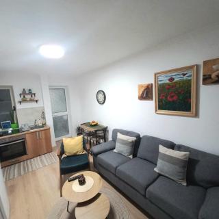 Regis Apartment - Tirana - 7