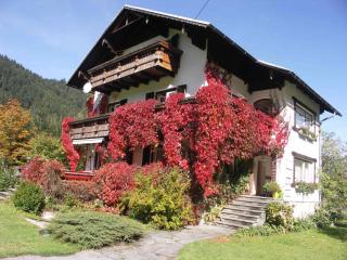 Ferienwohnung Peter Egger - Gosau - 8