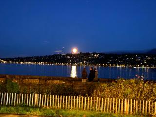 Amazing location Geneva , Eauv-Vives - Genf - 1
