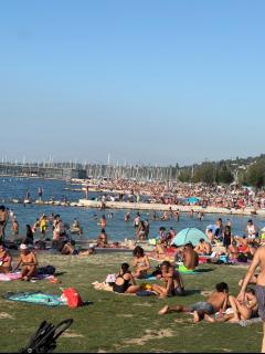 Amazing location Geneva , Eauv-Vives - Genf - 8