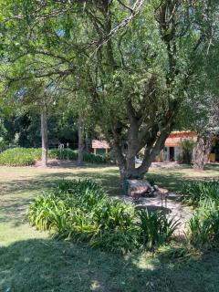 El Charquito Chascomus - 9