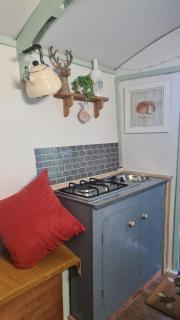 Blue bell shepherd's Hut - Halkyn - 4