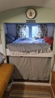 Blue bell shepherd's Hut - Halkyn - 3
