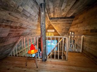 New Unique Treehouses with hot tub in Oisterwijk - 2