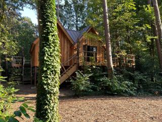 New Unique Treehouses with hot tub in Oisterwijk - Oisterwijk - 8