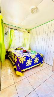 Terereamanu Lodge - Avatoru - 9