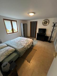 Logement paisible en bord de Vienne - Bonneuil-Matours - 0