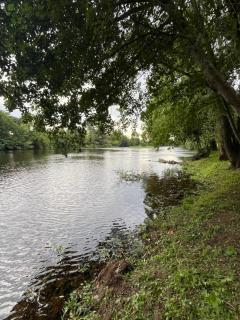 Logement paisible en bord de Vienne - Bonneuil-Matours - 1