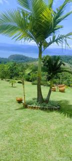 Paraty vista mar, quarto 1 - 8