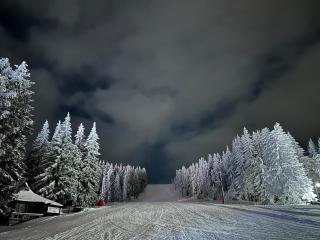 VILA JEZERO - Kopaonik - 6