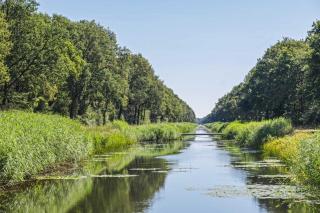 Vechteperle - Nordhorn - Nordhorn - 1