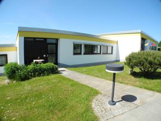 Uferschwalbe - Hohwacht - Hohwacht - 0