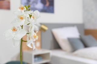 NINO-Boardinghouse 26 - Nordhorn - 5