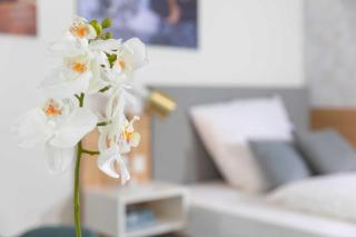 NINO-Boardinghouse 8 - Nordhorn - 7