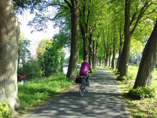 NINO-Boardinghouse 14 - Nordhorn - 1