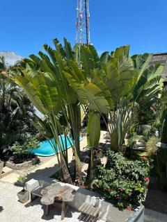 Graciosa Suites - Marechal Deodoro - 6