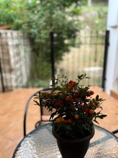 Fani's Home No 14 - 3