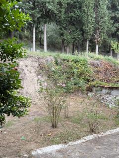 Fani's Home No 14 - 2