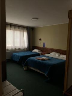 Hotel Condor de Plata - Punta Arenas - 1