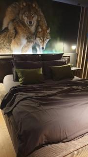 La Loge aux Loups, villa contemporaine avec piscine intérieure, sauna, local skis et vélos, à 100 m du lac - Gérardmer - 1