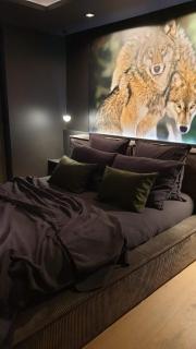 La Loge aux Loups, villa contemporaine avec piscine intérieure, sauna, local skis et vélos, à 100 m du lac - Gérardmer - 6