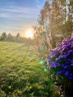 Mielno Woodhouse - 6